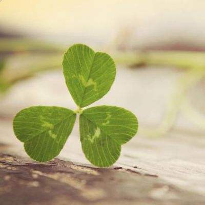 欧意交易所app官网