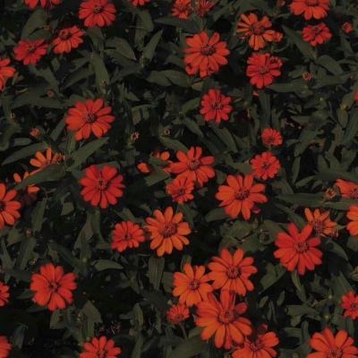 中欧体育app最新版下载