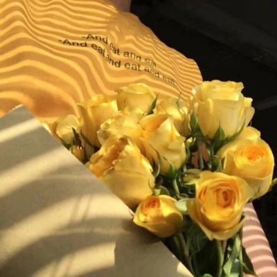 BOB体育综合app官网入口