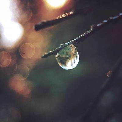 北单足球比赛结果sp值