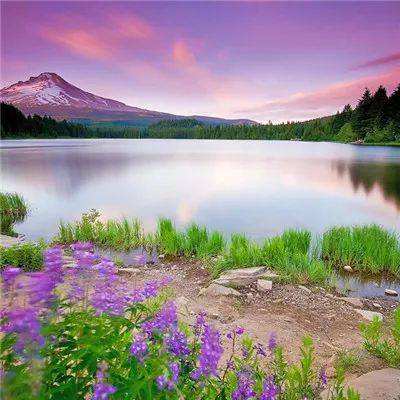 鸭脖体育app官网下载官方版