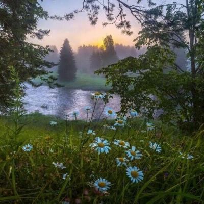 天下彩网站下载手机版