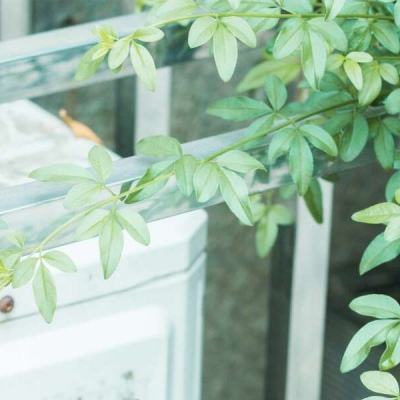 CQ9电子下载手机版